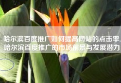 哈尔滨百度推广如何提高网站的点击率,哈尔滨百度推广的市场前景与发展潜力