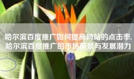 哈尔滨百度推广如何提高网站的点击率,哈尔滨百度推广的市场前景与发展潜力