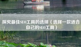 探究最佳SEO工具的选择（选择一款适合自己的SEO工具）