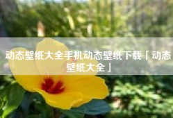 动态壁纸大全手机动态壁纸下载「动态壁纸大全」