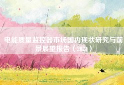 电能质量监控器市场国内现状研究与前景展望报告（2024）