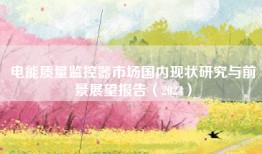 电能质量监控器市场国内现状研究与前景展望报告（2024）