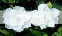 来宾网站推广排名优化
