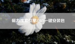 磁力搜索引擎ZSKY一键安装包