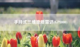 手持式三维地质雷达(GP8000)