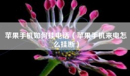 苹果手机如何挂电话（苹果手机来电怎么挂断）