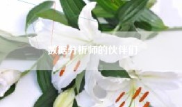 数据分析师的伙伴们
