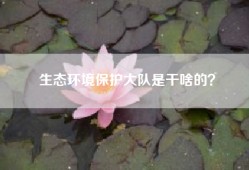 生态环境保护大队是干啥的？