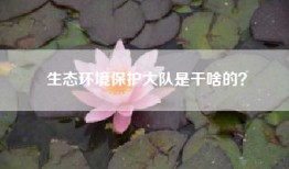 生态环境保护大队是干啥的？