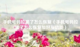 手机号码拉黑了怎么恢复（手机号码拉黑了怎么恢复加好友功能）