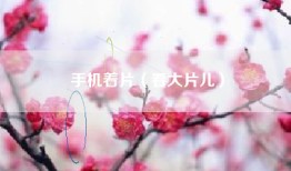 手机着片（看大片儿）