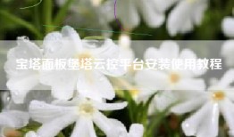 宝塔面板堡塔云控平台安装使用教程