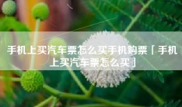 手机上买汽车票怎么买手机购票「手机上买汽车票怎么买」