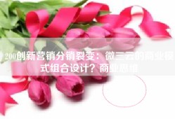 200创新营销分销裂变：微三云的商业模式组合设计？商业思维