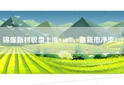 锦盛新材收盘上涨1.68%，最新市净率3.21