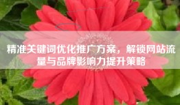 精准关键词优化推广方案，解锁网站流量与品牌影响力提升策略