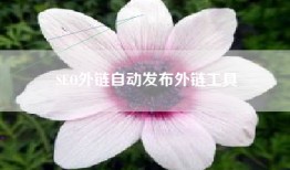 SEO外链自动发布外链工具
