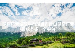 微信广告投放平台加盟？萧山微信广告投放多钱一个平台