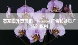 石家庄外贸营销：Facebook广告和谷歌广告的区别
