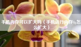 手机内存可以扩大吗（手机运行内存4g怎么扩大）