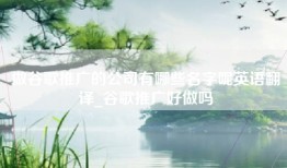 做谷歌推广的公司有哪些名字呢英语翻译_谷歌推广好做吗