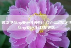 跨境电商erp麦进斗表格上传产品(跨境电商erp麦进斗详情视频)