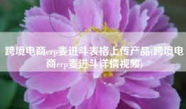 跨境电商erp麦进斗表格上传产品(跨境电商erp麦进斗详情视频)