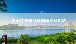 关于代理服务器的原理及用法