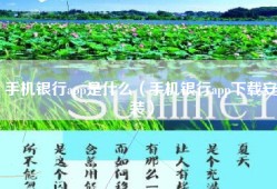 手机银行app是什么（手机银行app下载安装）