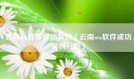 云南seo软件成功案例（云南seo软件成功案例分析）