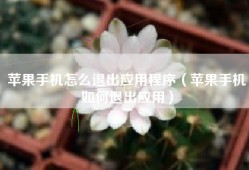 苹果手机怎么退出应用程序（苹果手机如何退出应用）