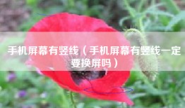 手机屏幕有竖线（手机屏幕有竖线一定要换屏吗）
