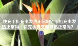快充手机充电发热正常吗？手机充电发热正常吗「快充手机充电发热正常吗？」