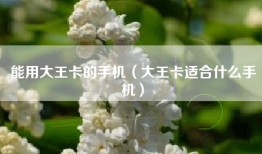 能用大王卡的手机（大王卡适合什么手机）