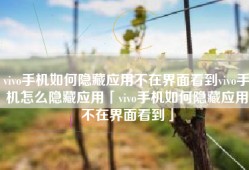 vivo手机如何隐藏应用不在界面看到vivo手机怎么隐藏应用「vivo手机如何隐藏应用不在界面看到」