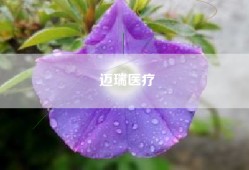 迈瑞医疗