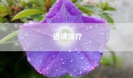 迈瑞医疗