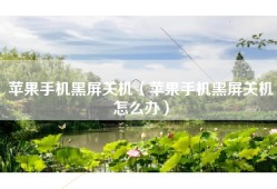 苹果手机黑屏关机（苹果手机黑屏关机怎么办）