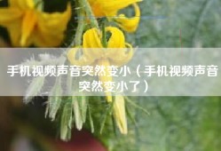 手机视频声音突然变小（手机视频声音突然变小了）