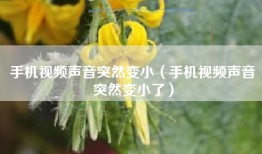 手机视频声音突然变小（手机视频声音突然变小了）
