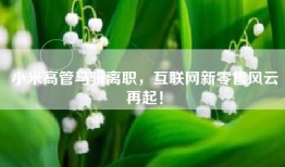 小米高管马骥离职，互联网新零售风云再起！