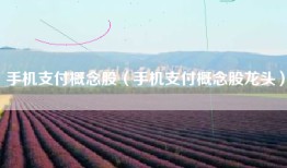 手机支付概念股（手机支付概念股龙头）