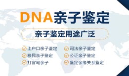 淮北司法DNA鉴定如何做在线咨询，淮北司法DNA鉴定费用需要多少钱
