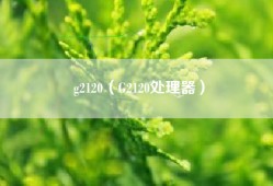g2120（G2120处理器）