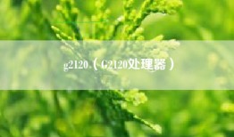 g2120（G2120处理器）