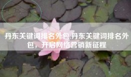 丹东关键词排名外包,丹东关键词排名外包，开启网络营销新征程