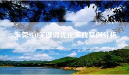 东莞SEO关键词优化实战案例分析