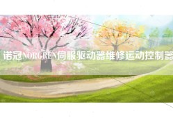 诺冠NORGREN伺服驱动器维修运动控制器