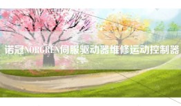 诺冠NORGREN伺服驱动器维修运动控制器