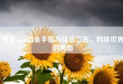 网络 seo 佰金手指与花总二五，网络世界的两面
